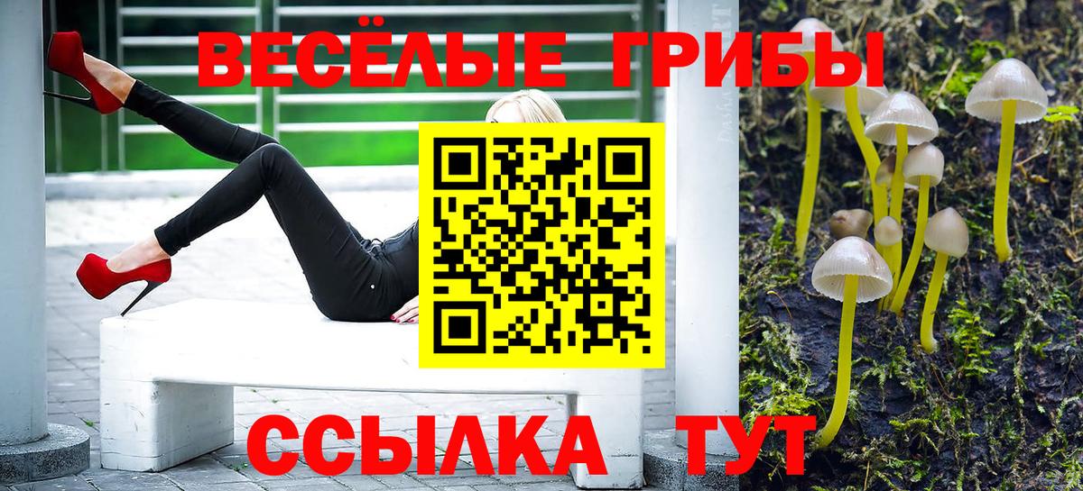 Галлюциногенные грибы MAGIC MUSHROOMS  Псилоцибиновые грибы ЛСД  Ейск  Вход с VPN 